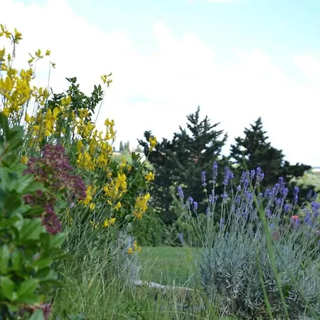 Splendid In Rignano Sull Arno Fi With Garden *